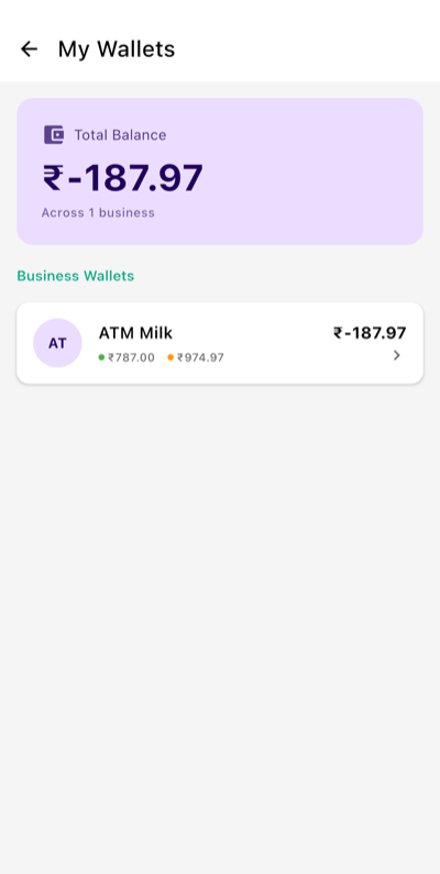 BNM App — wallet balance